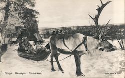 Norge Renskyss Finmarken Postcard