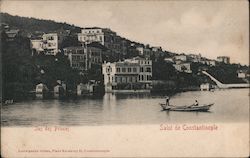 Iles des Princes Postcard