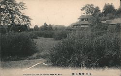 The Bush Colver of Tokiwa Park Postcard
