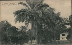 Battanga Station, Kamerun, West Africa Postcard