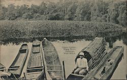 Cargo Canoes, Nlong River Postcard