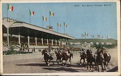 At the Horse Races Postcard