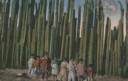 Stock #741557 Thumbnail