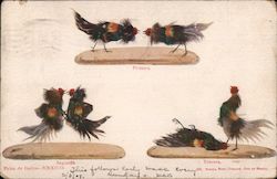 Three Stages of a Cockfight Postcard