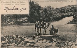 Fontaine de Cana en Galilee Israel Middle East Postcard Postcard Postcard