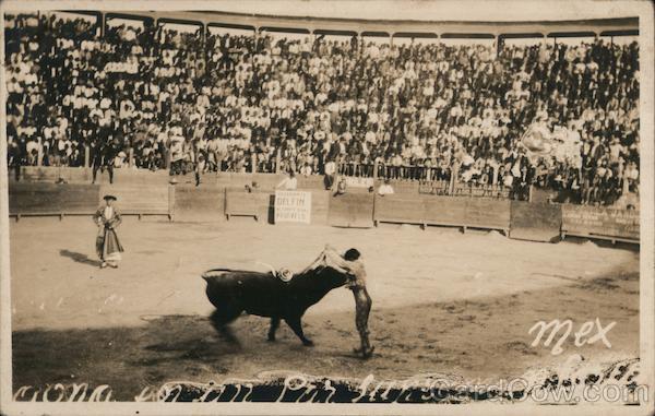 Bull Fighting Mexico