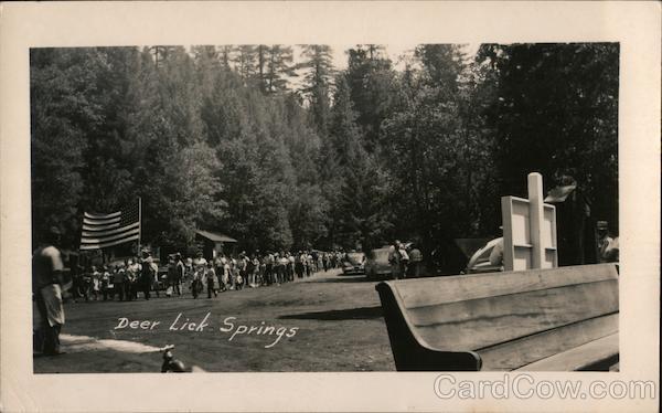 Deer Lick Springs Douglas City California