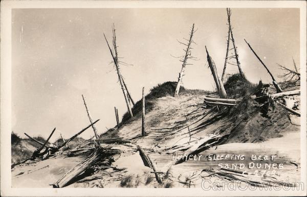 Sleeping Bear Sand Dunes Empire Michigan