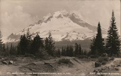Mt. Hood Loop from Government Camp, Alt. 11,225 Postcard