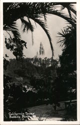 California Tower Balboa Park Postcard