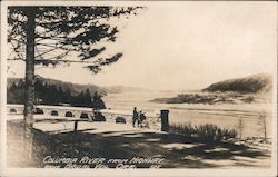 Columbia River from Highway Above Bridal Veil Ore. Postcard