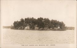 Pine Cliff - Kahshe Lake Postcard