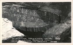 Petryglyphs, Petrified National Monument Adamana, AZ Postcard Postcard Postcard