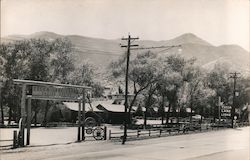 Yucca Lane Lodge Postcard