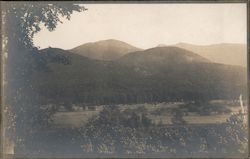 View of a Field and Mountains Postcard