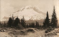 Mt. Hood Loop From Government Camp, Alt. 11,225 Mount Hood, OR Cross & Dimmitt Postcard Postcard Postcard