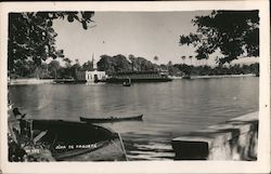 Jlna de Paqueta Postcard
