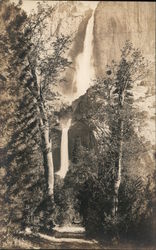 Yousemite National Park Postcard