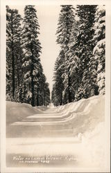 Winter on Lassen Volcanic Highway Postcard