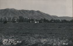 "3000 Feet Up" Circle M Guest Ranch Postcard
