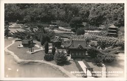 Bernheimer Oriental Gardens Postcard