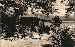 Cabins at Grant's Postcard