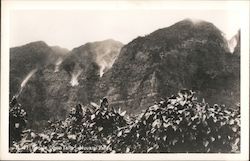 Upside Down Falls - Nuuanu Valley Oahu, HI Postcard Postcard Postcard