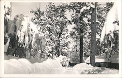 Wintertime at Big Bear Lake Postcard