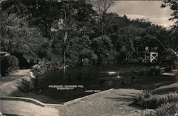 Pasonanca Swimming Pool Postcard