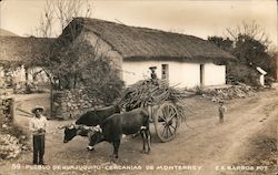Pueblo De Huajuquito - Men with a Cart Pulled by Oxen Postcard