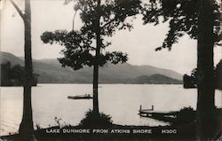 Lake Dunmore from Atkins Shore Postcard