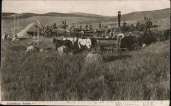 Threshing Scene Postcard