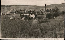 Threshing Scene Garfield, WA Postcard Postcard Postcard