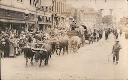 Frontier Days Parade Postcard
