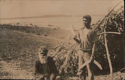 Australian Aborigines with Boomerangs, Traditional Shelter Postcard