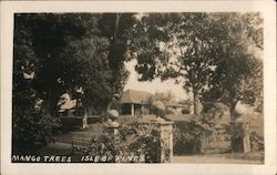 Stock #743727 Thumbnail