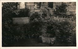 Fountain of Youth Postcard