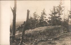 Bears Head Rock Landscapes Postcard Postcard Postcard