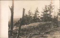 Bears Head Rock Postcard
