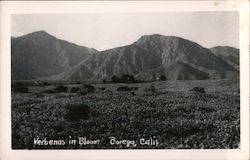 Stock #743745 Thumbnail