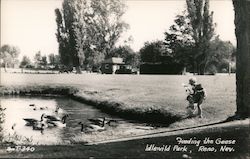 Feeding the Geese, Idlewild Park Postcard