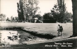 Feeding the Geese, Idlewild Park Reno, NV Postcard Postcard Postcard