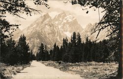 Grand Teton From the Highway Through the National Park Postcard