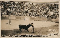 Stock #743976 Thumbnail