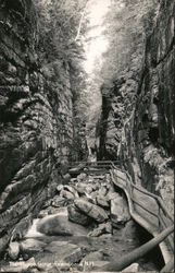 Flume Gorge Franconia, NH Postcard Postcard Postcard