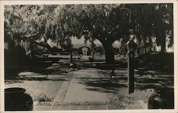Mineral Springs Hotel, Patio Postcard
