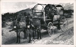 Man Riding Wagon Pulled by Donkeys Postcard