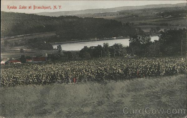 Kauka Lake Branchport New York
