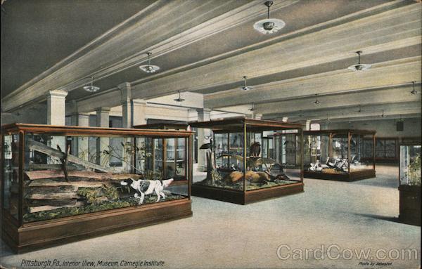 Interior View, Museum, Carnegie Institute Pittsburgh Pennsylvania