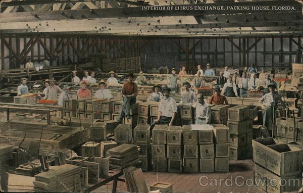 Interior of Citrus Exchange, Packing House Florida